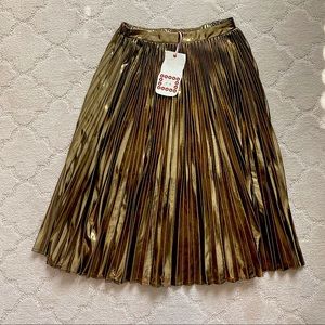 Pleated Skirt